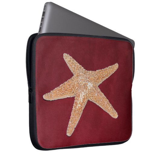 STERN-FISCHE LAPTOPSCHUTZHÜLLE (Vorne Rechts)