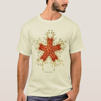 Stern-Fische T-Shirt