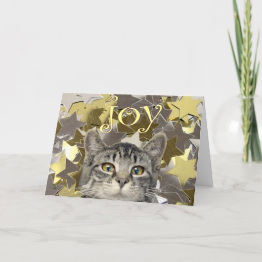 Stern-Kätzchen Feiertagskarte (Vorderseite)