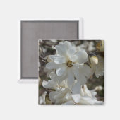 Stern-Magnolie blüht Magnet (Vorderseite/Rückseite)