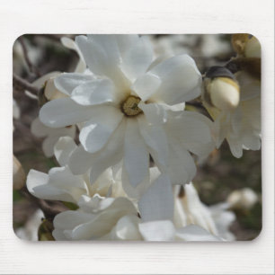 Stern-Magnolie Blüten Mousepad