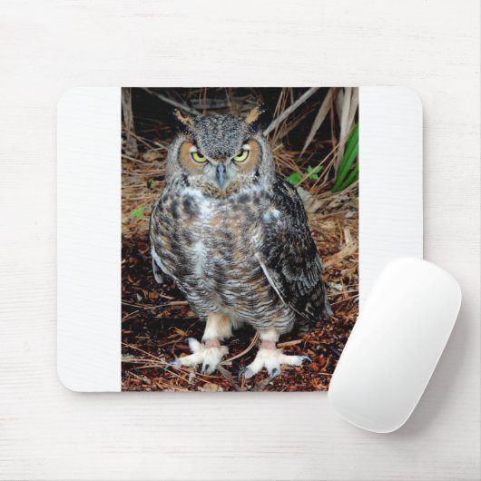 Stern Owl Mousepad (Mit Mouse)