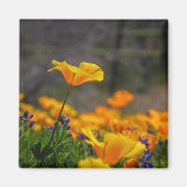 Stern-Reichweite Magnet (Vorne)