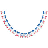 Stern- u. Streifenfahne Wimpelkette (Alle)