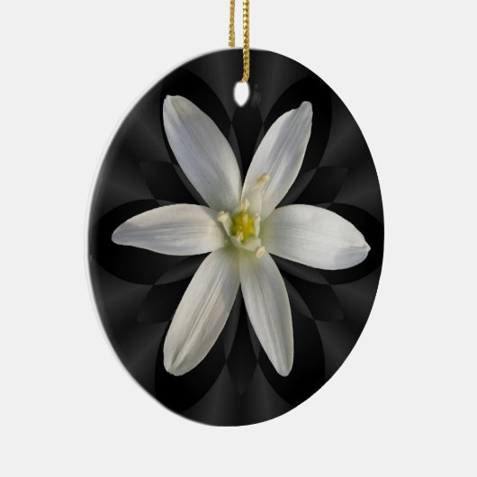 Stern von Bethlehem-Blume ~ Verzierung Keramikornament (Rechts)