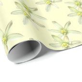 Stern von Bethlehem Geschenkpapier (Rolleneckpunkt)