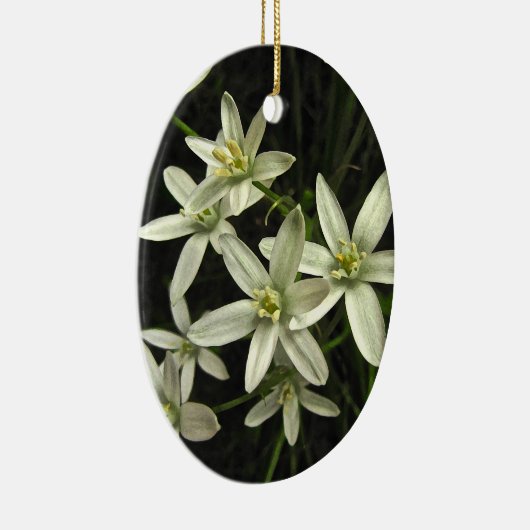 Stern von Bethlehem Keramik Ornament (Rechts)