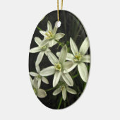 Stern von Bethlehem Keramik Ornament (Links)