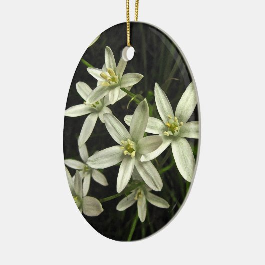 Stern von Bethlehem Keramik Ornament (Links)