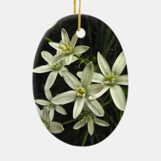 Stern von Bethlehem Keramik Ornament (Hinten)