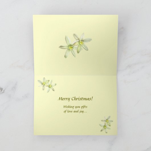 Stern von Bethlehem Weihnachten (Innenseite)