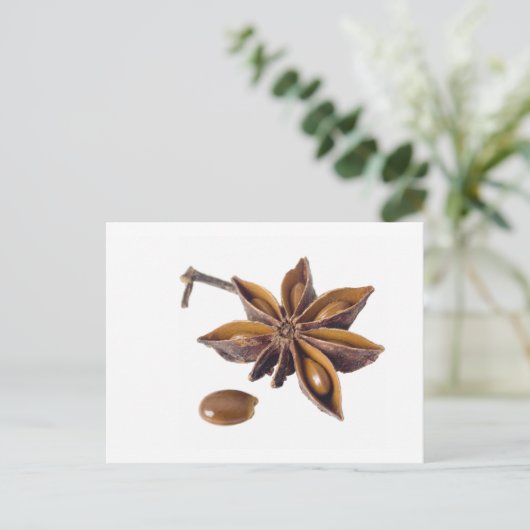 Sternanise Postkarte (Stehend Vorderseite)