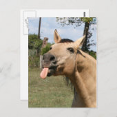 Sternbeere Postkarte (Vorne/Hinten)