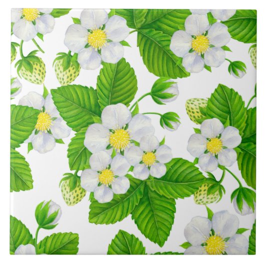 Sternbeergarten 2 fliese (Vorderseite)