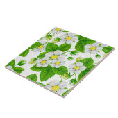 Sternbeergarten 2 fliese (Seite)