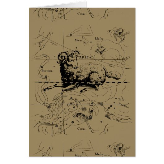 Sternbild Aries Hevelius 1690 (Vorne)