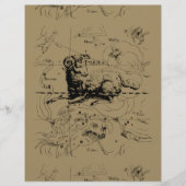 Sternbild Aries Hevelius 1690 (Vorderseite)