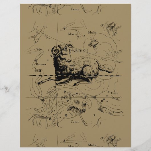 Sternbild Aries Hevelius 1690 (Vorderseite)