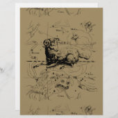 Sternbild Aries Hevelius 1690 (Vorne/Hinten)