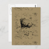Sternbild Aries Hevelius 1690 Postkarte (Vorne/Hinten)