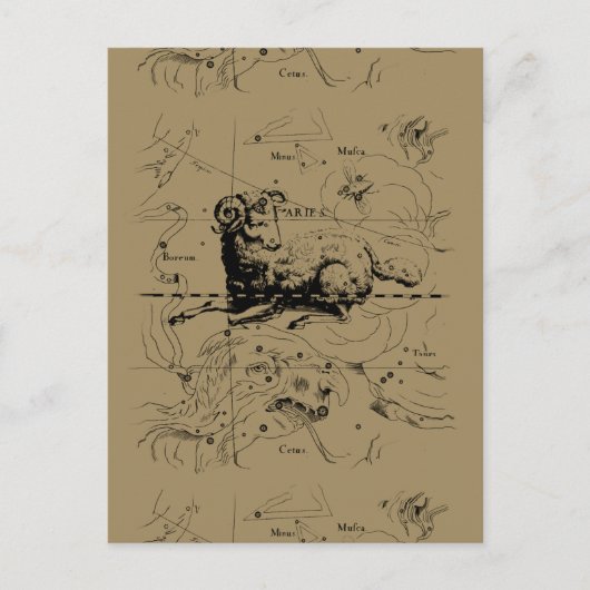 Sternbild Aries Hevelius 1690 Postkarte (Vorderseite)