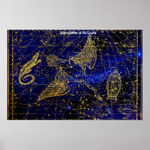 Sternbild des Eidechse Poster