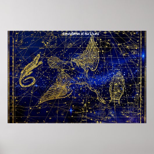 Sternbild des Eidechse Poster (Vorne)