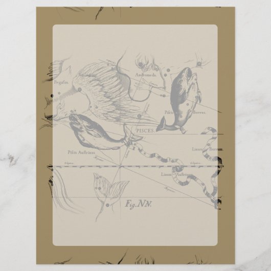 Sternbild Hevelius 1690 auf Taupe (Vorderseite)