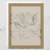 Sternbild Hevelius 1690 auf Taupe (Vorne/Hinten)