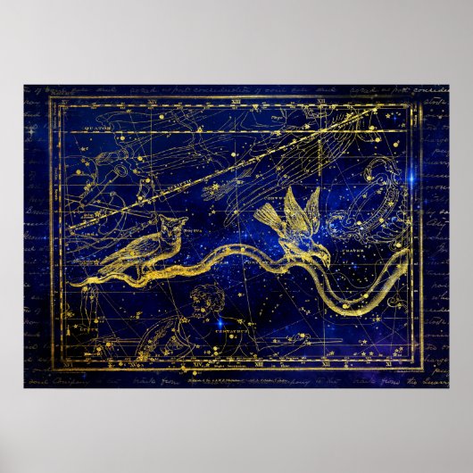 Sternbildposter des Tierkreises Poster (Vorne)