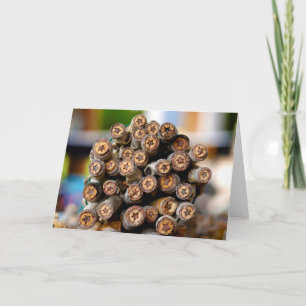 Sterne entlang der Rio Grande Baumwollbaumen Karte