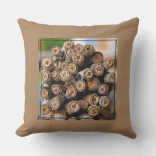 Sterne entlang der Rio Grande Baumwollbaumen Kissen