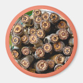 Sterne entlang der Rio Grande Baumwollbaumen Magnet (Vorne)