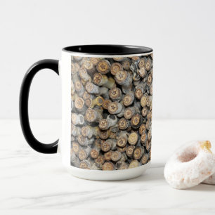 Sterne entlang der Rio Grande Baumwollbaumen Tasse