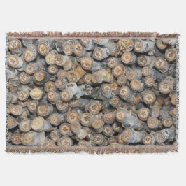 Sterne entlang der Rio Grande Cotton Wood Trees Ta Decke