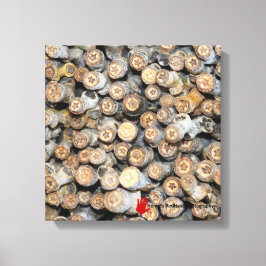 Sterne entlang der Rio Grande Cotton Wood Trees Ta Leinwanddruck