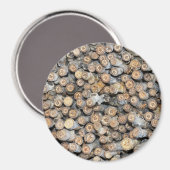 Sterne entlang der Rio Grande Cotton Wood Trees Ta Magnet (Vorderseite/Rückseite)