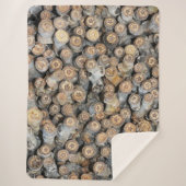 Sterne entlang der Rio Grande Cotton Wood Trees Ta Sherpadecke (Vorderseite)