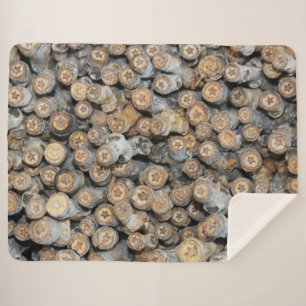 Sterne entlang der Rio Grande Cotton Wood Trees Ta Sherpadecke