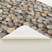 Sterne entlang der Rio Grande Cotton Wood Trees Ta Sherpadecke (3/4)