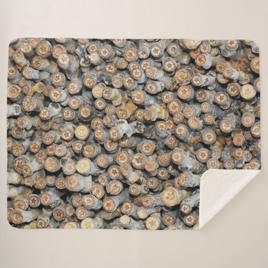 Sterne entlang der Rio Grande Cotton Wood Trees Ta Sherpadecke (Vorderseite (Horizontal))