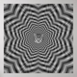 Sterne + Katze Poster