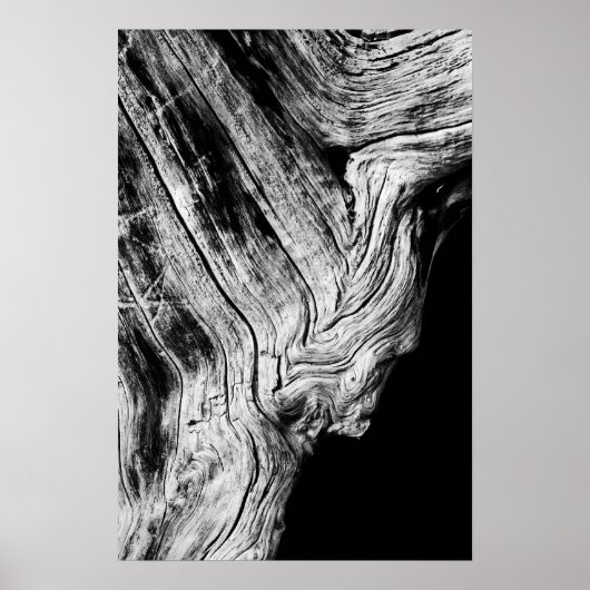 Sterne sagen so poster (Vorne)