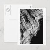 Sterne sagen so postkarte (Vorne/Hinten)