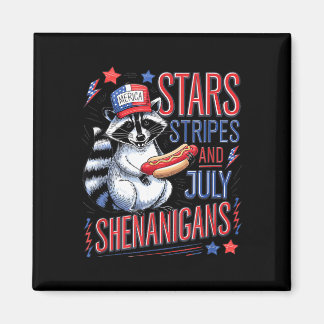 Sterne Streifen und Unsinn USA lustiger Waschbär Magnet
