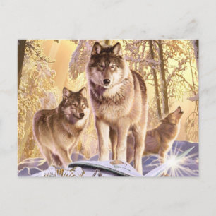 "Sterne unter Schnee" Postkarte