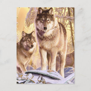 "Sterne unter Schnee" Postkarte