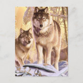 "Sterne unter Schnee" Postkarte (Vorderseite)