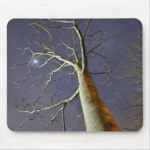 Sternenbaum_Mauspad Mousepad