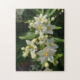 Sternenburst-Garten-Blüten-Puzzle Puzzle